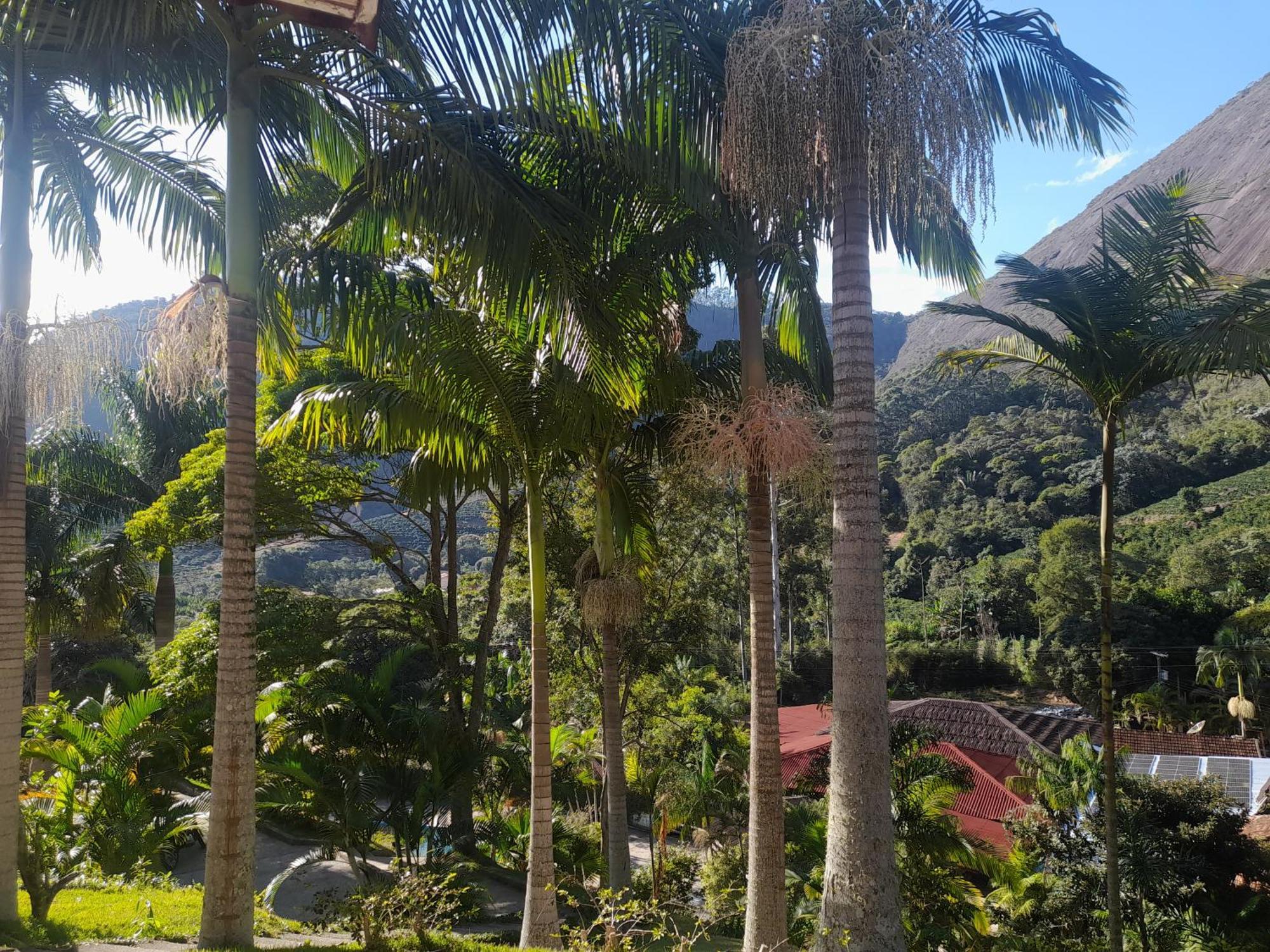 Recanto das Águas Brejetuba Exterior foto